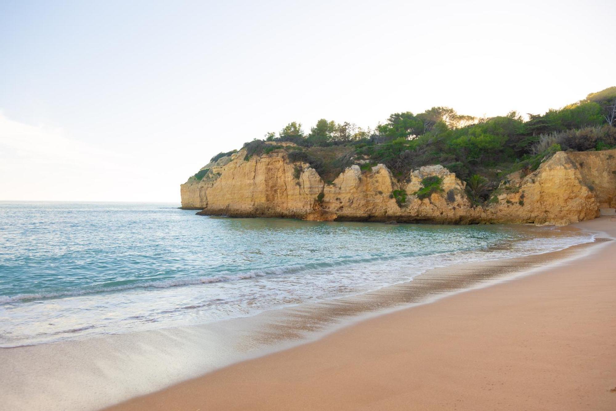 Casa Oliveira - Algarve Διαμέρισμα Porches  Εξωτερικό φωτογραφία